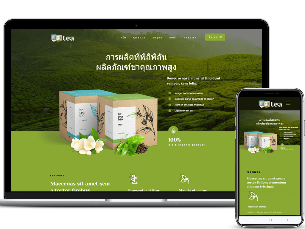 เว็บไซต์แสดงสินค้า ธุรกิจและบริการ รหัส WT0016